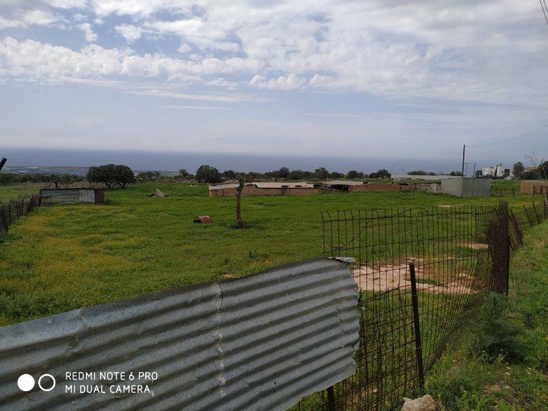 Residential Land in Pegeia, Paphos for sale – PP014474-S - #1