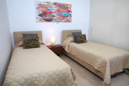 3 bedroom superior villa in Afrodites Hills - #11