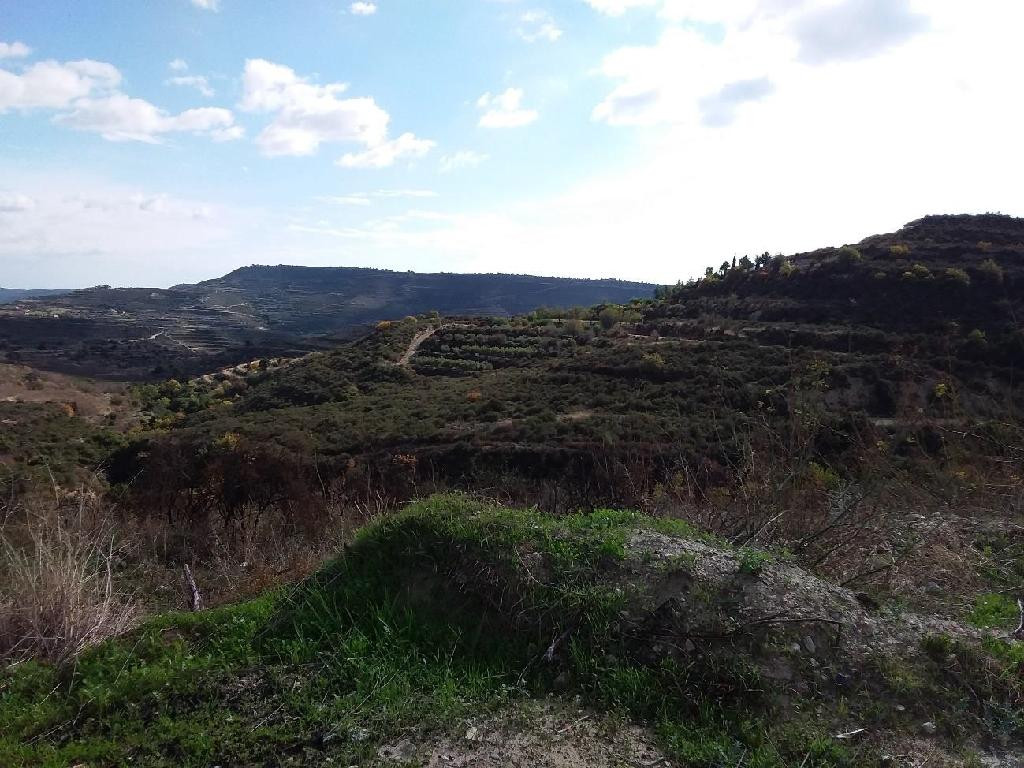 For Sale: Agricultural land, Pachna, Limassol, Cyprus FC-34417 - #2 For Sale: Agricultural land, Pachna, Limassol, Cyprus FC-34417 - #2