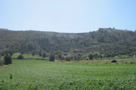 For Sale: Agricultural land, Alethriko, Larnaca, Cyprus FC-17251