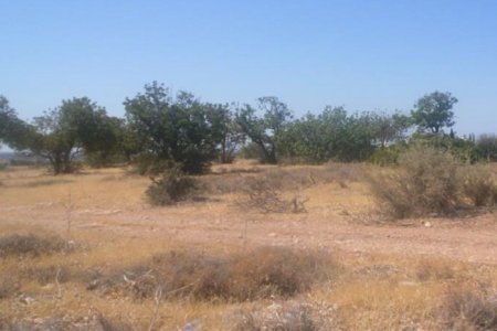 For Sale: Residential land, Pegeia, Paphos, Cyprus FC-18103 - #1