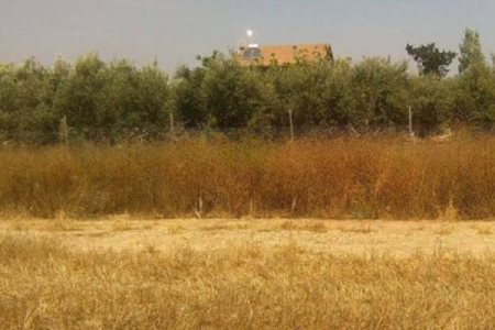 For Sale: Residential land, Mazotos, Larnaca, Cyprus FC-18199 - #1