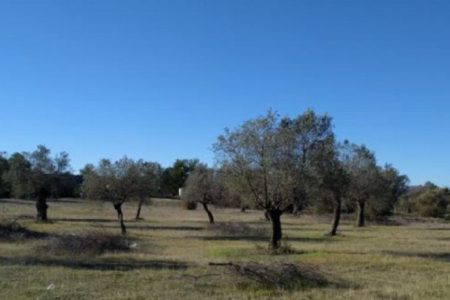 For Sale: Residential land, Kornos, Nicosia, Cyprus FC-19610 - #1