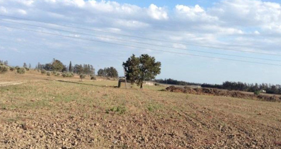 For Sale: Agricultural land, Alaminos, Larnaca, Cyprus FC-19662 - #1 For Sale: Agricultural land, Alaminos, Larnaca, Cyprus FC-19662 - #1