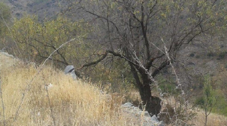 For Sale: Residential land, Palechori, Nicosia, Cyprus FC-19765 - #2