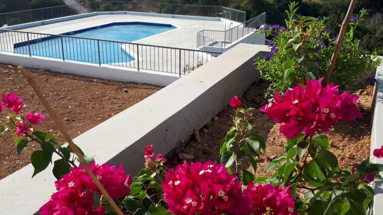 For Sale: Semi detached house, Tala, Paphos, Cyprus FC-19995 - #12