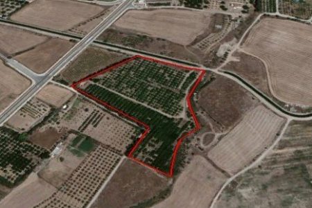 For Sale: Agricultural land, Geroskipou, Paphos, Cyprus FC-21949