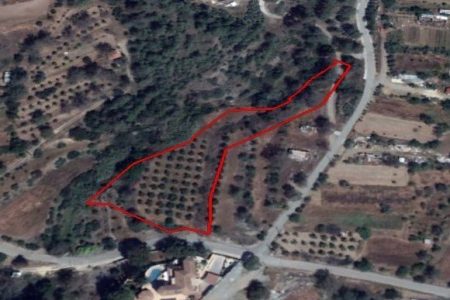 For Sale: Agricultural land, Finikaria, Limassol, Cyprus FC-22346 - #1
