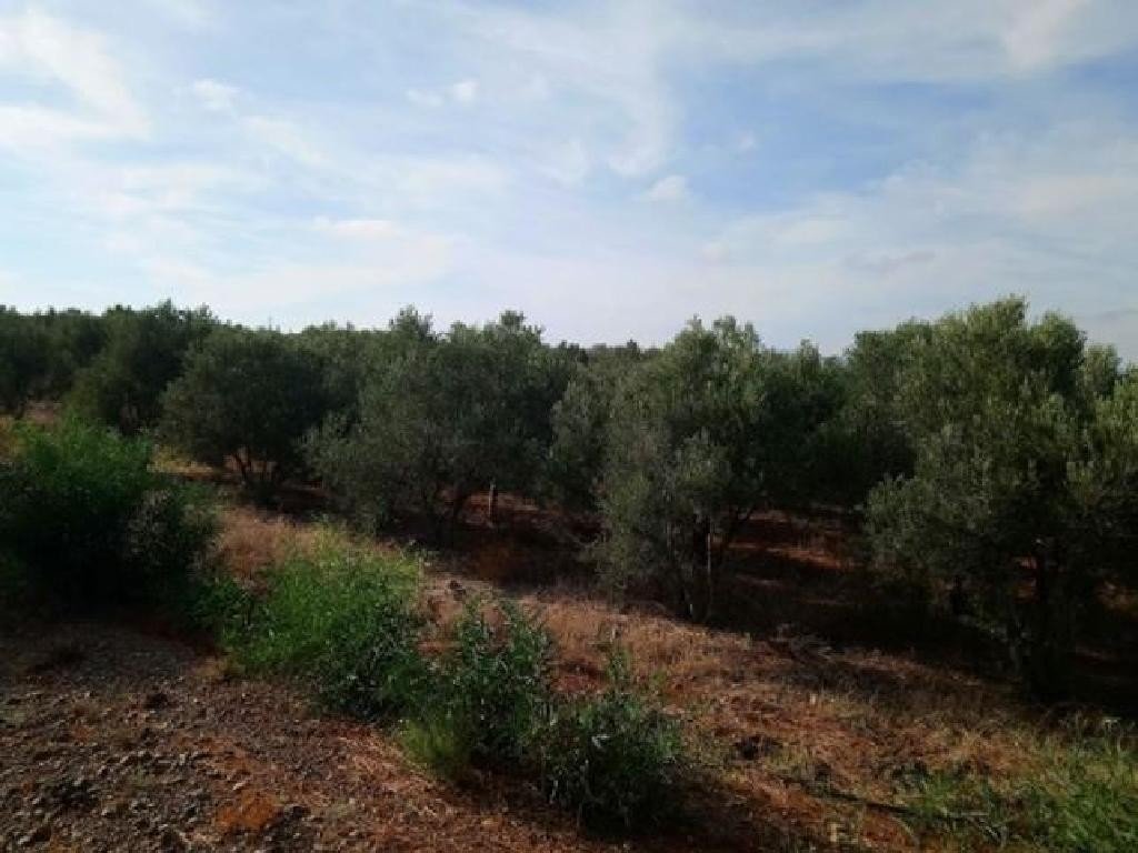 For Sale: Residential land, Astromeritis, Nicosia, Cyprus FC-24152 - #2 For Sale: Residential land, Astromeritis, Nicosia, Cyprus FC-24152 - #2
