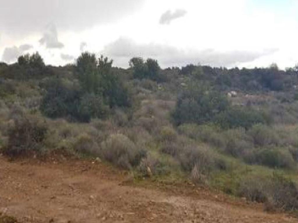 For Sale: Industrial land, Ypsonas, Limassol, Cyprus FC-24209 - #2 For Sale: Industrial land, Ypsonas, Limassol, Cyprus FC-24209 - #2