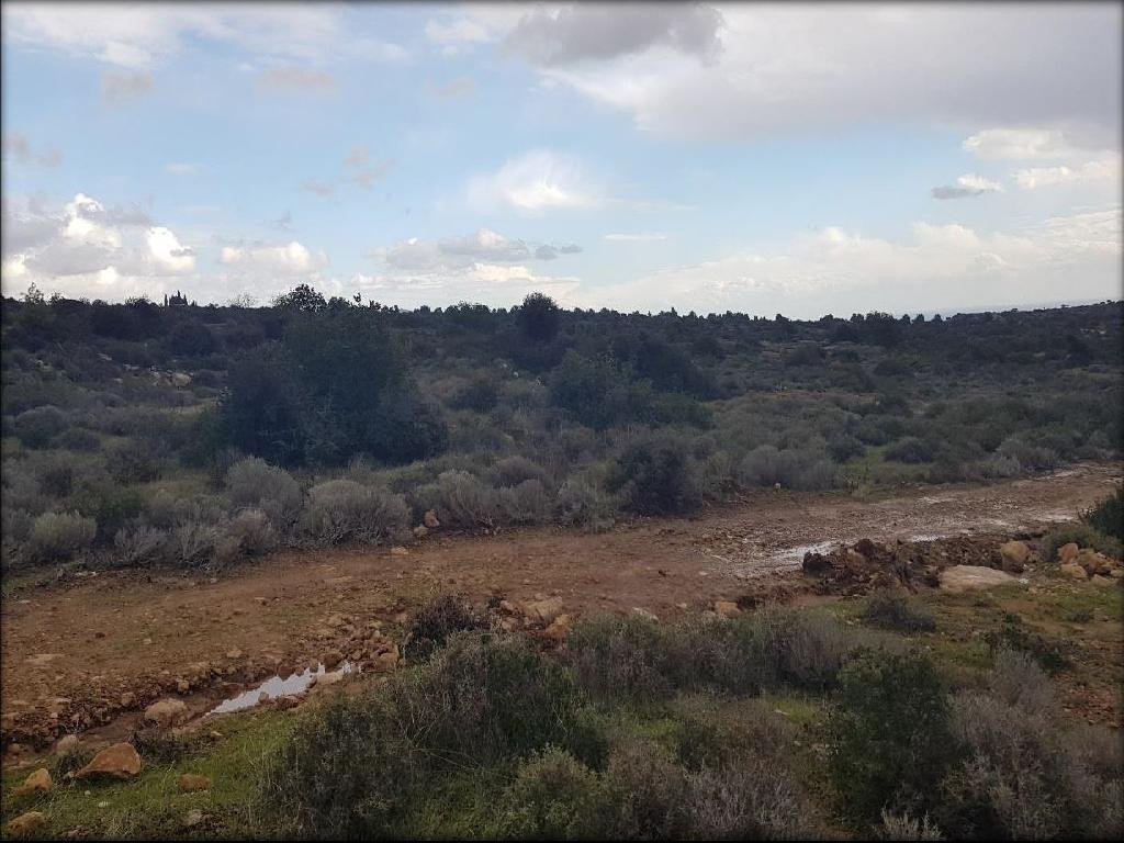 For Sale: Industrial land, Ypsonas, Limassol, Cyprus FC-24209 - #1 For Sale: Industrial land, Ypsonas, Limassol, Cyprus FC-24209 - #1