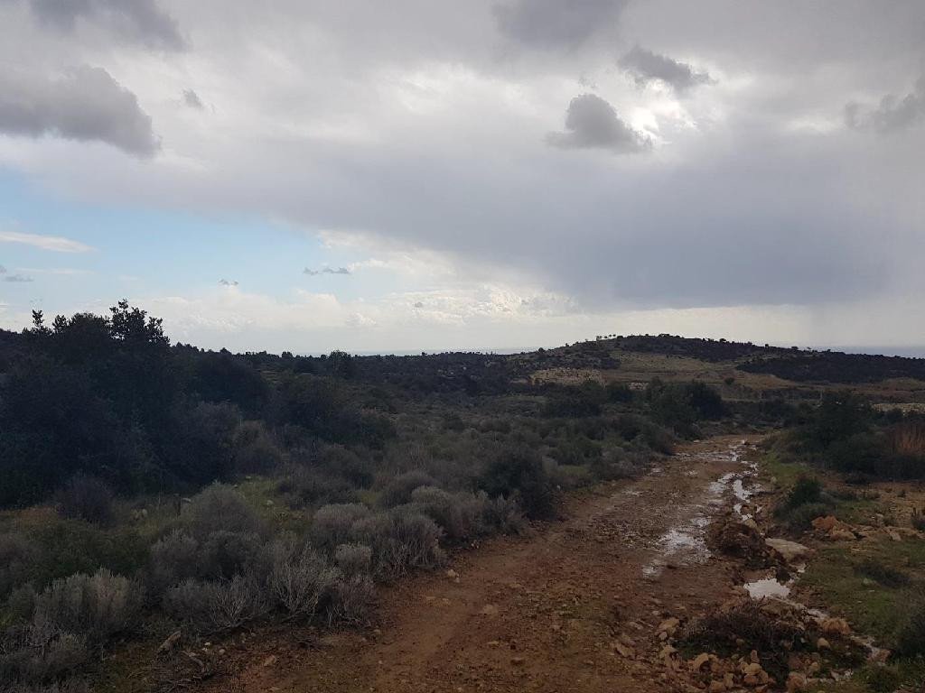 For Sale: Industrial land, Ypsonas, Limassol, Cyprus FC-24209 - #4 For Sale: Industrial land, Ypsonas, Limassol, Cyprus FC-24209 - #4