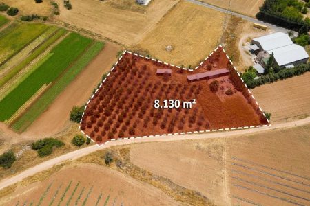 For Sale: Residential land, Kouklia, Paphos, Cyprus FC-24263