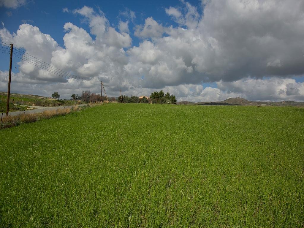 For Sale: Residential land, Anarita, Paphos, Cyprus FC-24280 - #1