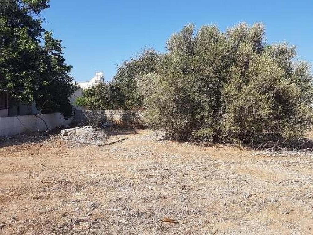 For Sale: Residential land, Paralimni, Famagusta, Cyprus FC-24862 - #3 For Sale: Residential land, Paralimni, Famagusta, Cyprus FC-24862 - #3