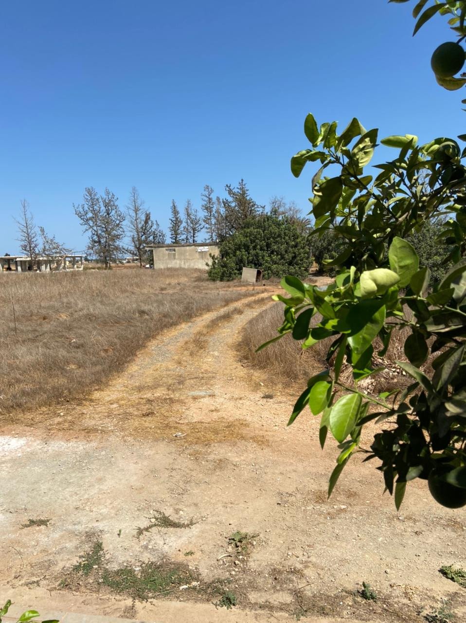 For Sale: Maisonette (Townhouse), Avgorou, Famagusta, Cyprus FC-25860 - #18