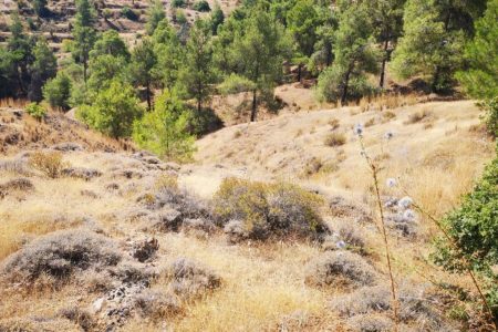For Sale: Residential land, Agios Theodoros Soleas, Nicosia, Cyprus FC-27619
