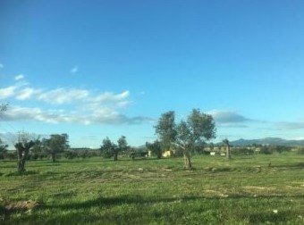 For Sale: Agricultural land, Geri, Nicosia, Cyprus FC-30581 - #2 For Sale: Agricultural land, Geri, Nicosia, Cyprus FC-30581 - #2