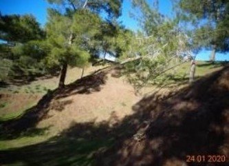 For Sale: Agricultural land, Pigenia, Nicosia, Cyprus FC-30611 - #2 For Sale: Agricultural land, Pigenia, Nicosia, Cyprus FC-30611 - #2