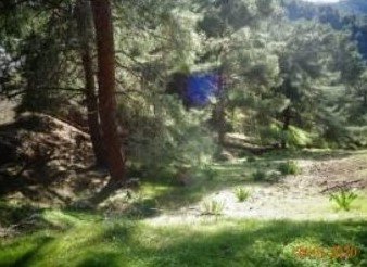 For Sale: Agricultural land, Pigenia, Nicosia, Cyprus FC-30611 - #3