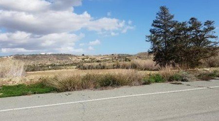 For Sale: Agricultural land, Pyla, Larnaca, Cyprus FC-30663