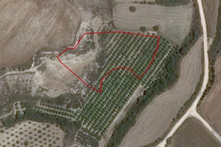 For Sale: Agricultural land, Polis Chrysochous, Paphos, Cyprus FC-30961 - #1