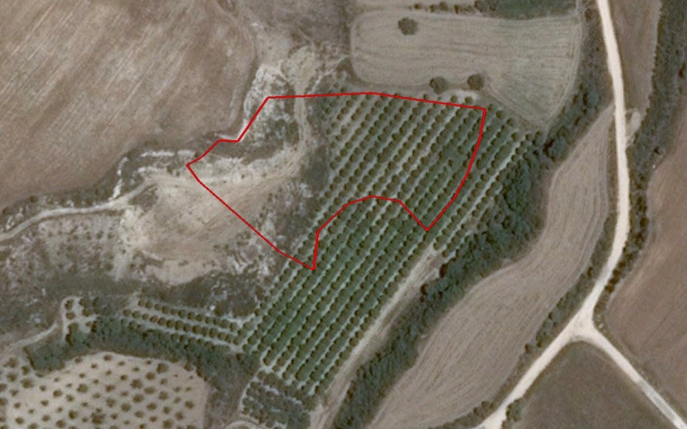 For Sale: Agricultural land, Polis Chrysochous, Paphos, Cyprus FC-30961 - #1