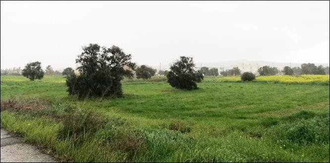 For Sale: Residential land, Tseri, Nicosia, Cyprus FC-31065 - #4 For Sale: Residential land, Tseri, Nicosia, Cyprus FC-31065 - #4
