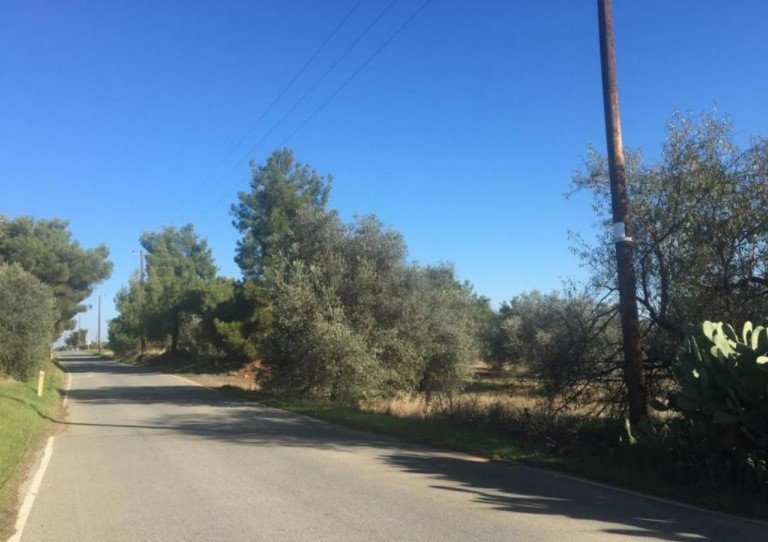 For Sale: Agricultural land, Lythrodontas, Nicosia, Cyprus FC-31489 - #3 For Sale: Agricultural land, Lythrodontas, Nicosia, Cyprus FC-31489 - #3