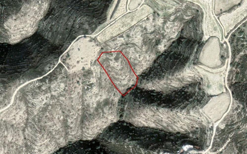 For Sale: Agricultural land, Akoursos, Paphos, Cyprus FC-31534 - #1 For Sale: Agricultural land, Akoursos, Paphos, Cyprus FC-31534 - #1