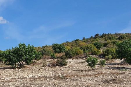 For Sale: Residential land, Koili, Paphos, Cyprus FC-31788 - #1