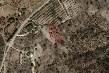 For Sale: Agricultural land, Anglisides, Larnaca, Cyprus FC-32061 - #1