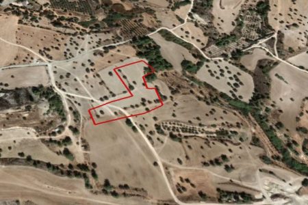 For Sale: Agricultural land, Anglisides, Larnaca, Cyprus FC-32072