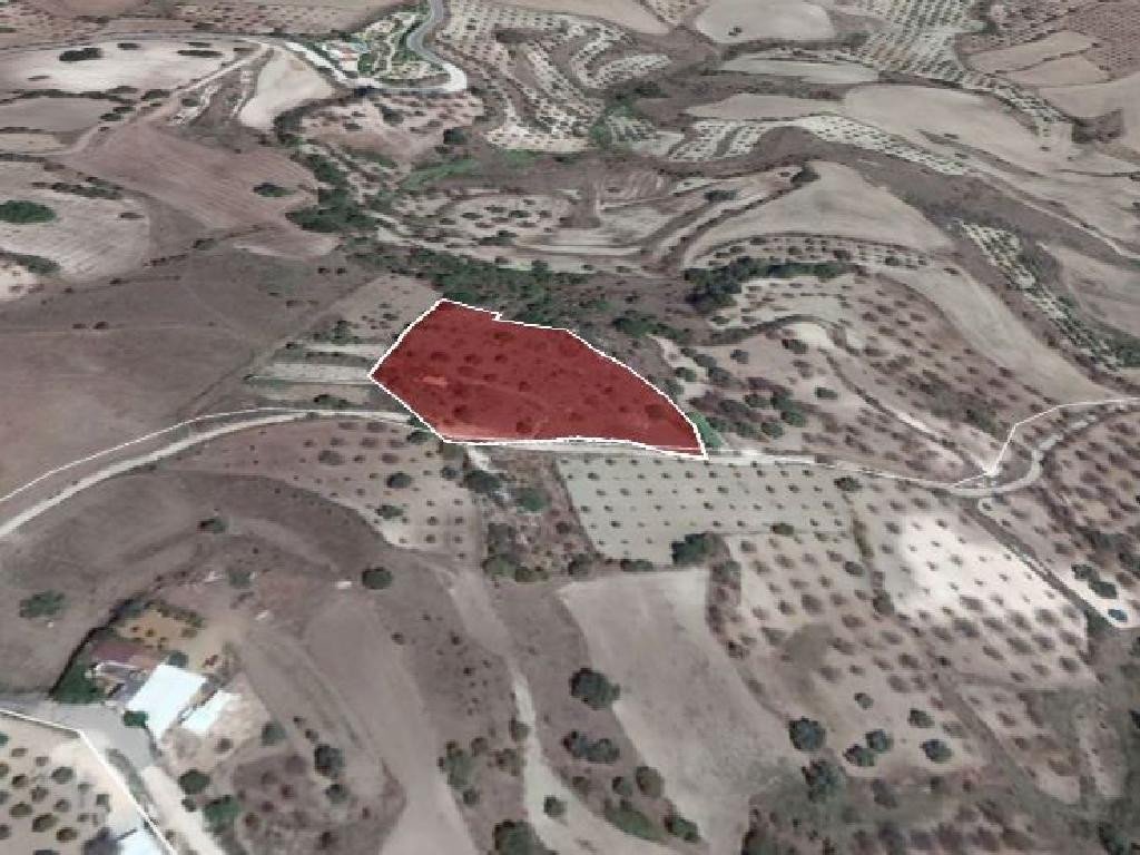 For Sale: Residential land, Simou, Paphos, Cyprus FC-32142 - #1 For Sale: Residential land, Simou, Paphos, Cyprus FC-32142 - #1