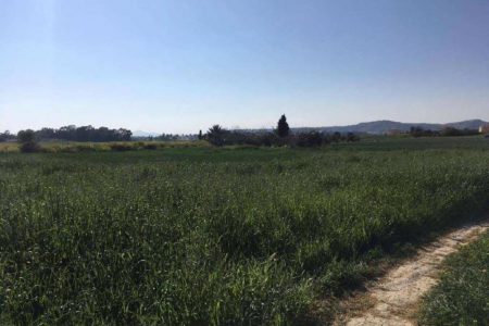 For Sale: Residential land, Pyla, Larnaca, Cyprus FC-32442