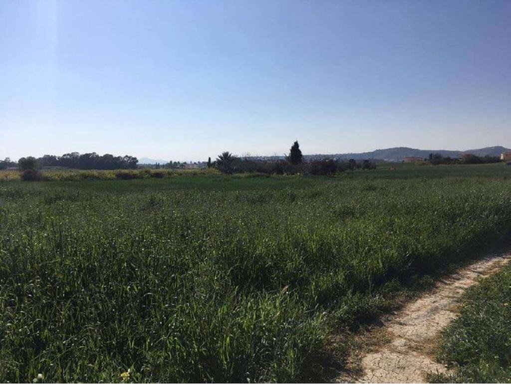 For Sale: Residential land, Pyla, Larnaca, Cyprus FC-32442 - #1 For Sale: Residential land, Pyla, Larnaca, Cyprus FC-32442 - #1