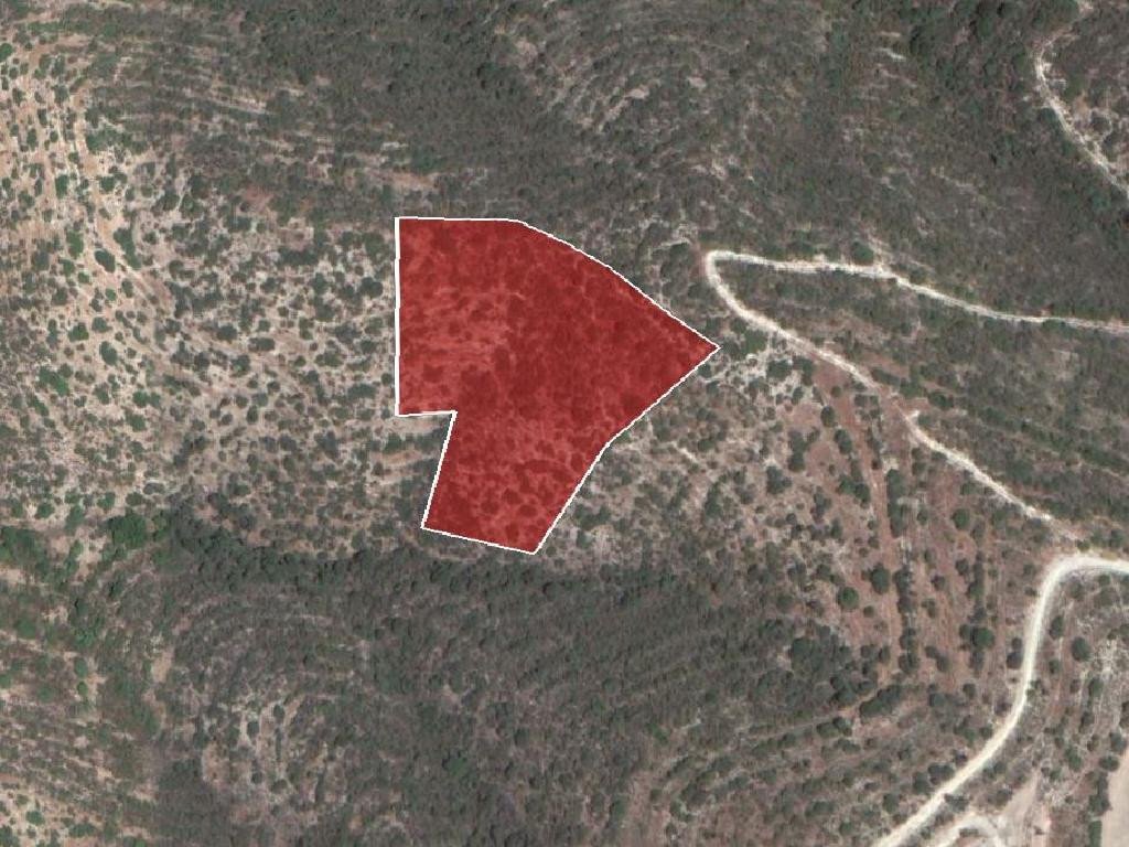 For Sale: Agricultural land, Limnatis, Limassol, Cyprus FC-32615 - #1 For Sale: Agricultural land, Limnatis, Limassol, Cyprus FC-32615 - #1