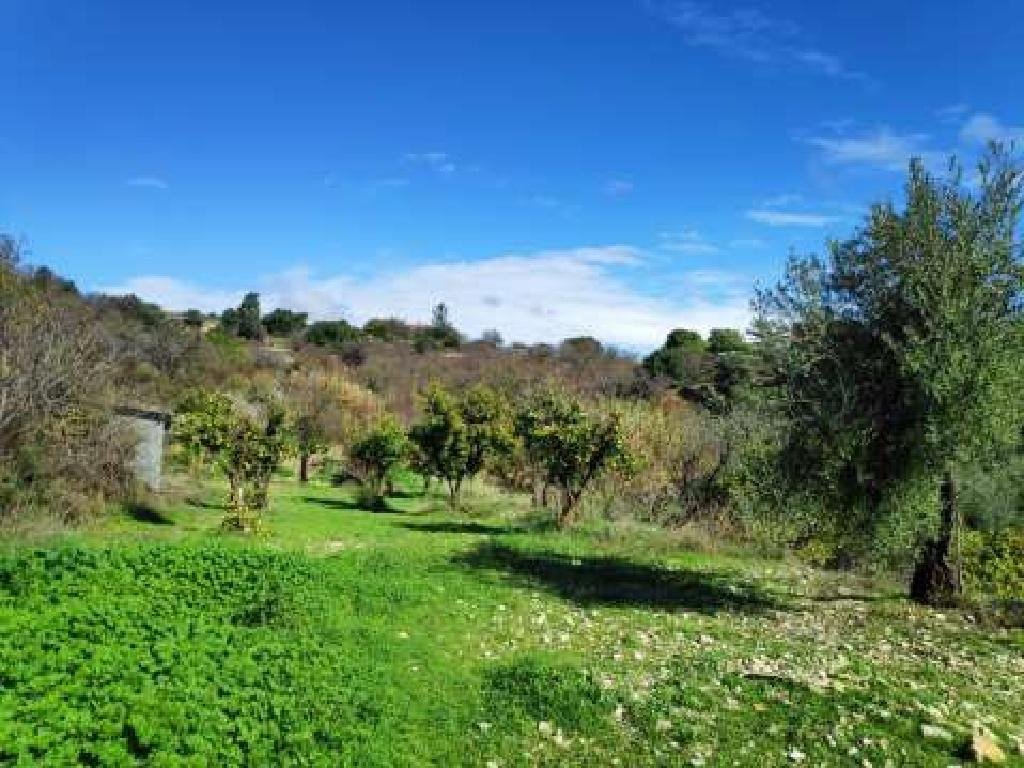 For Sale: Agricultural land, Limnatis, Limassol, Cyprus FC-32648 - #2