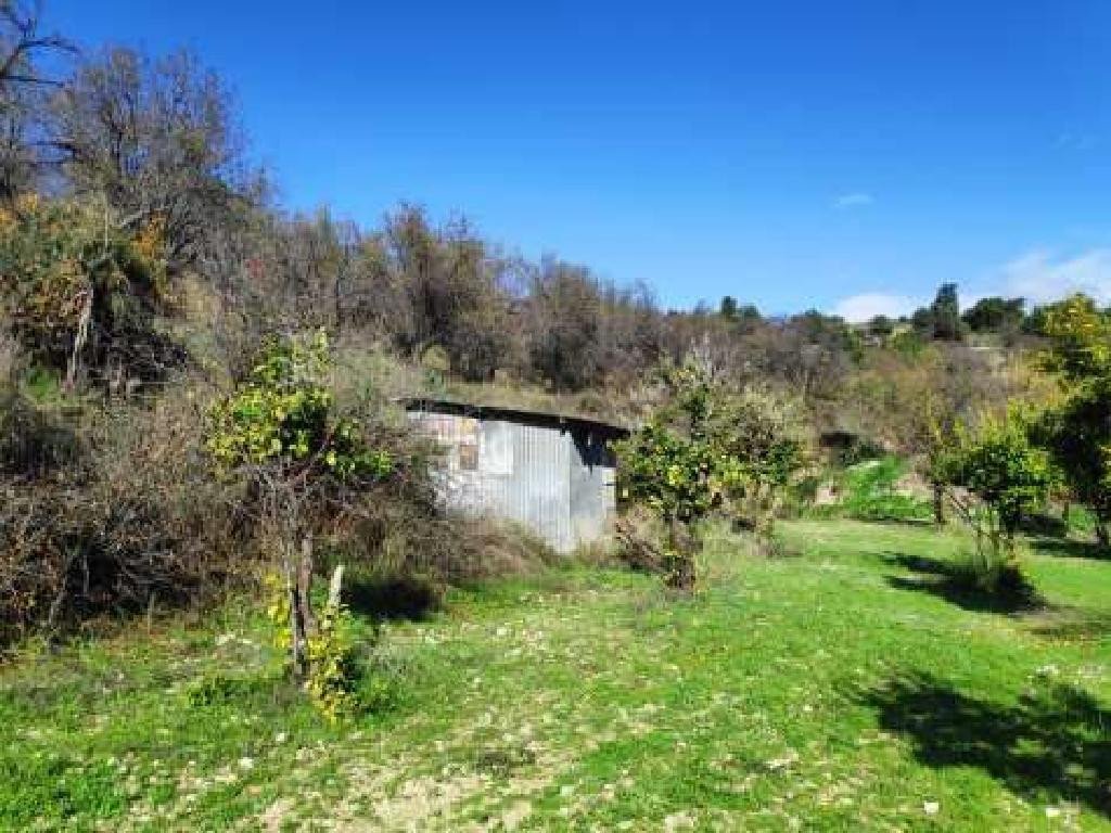 For Sale: Agricultural land, Limnatis, Limassol, Cyprus FC-32648 - #3