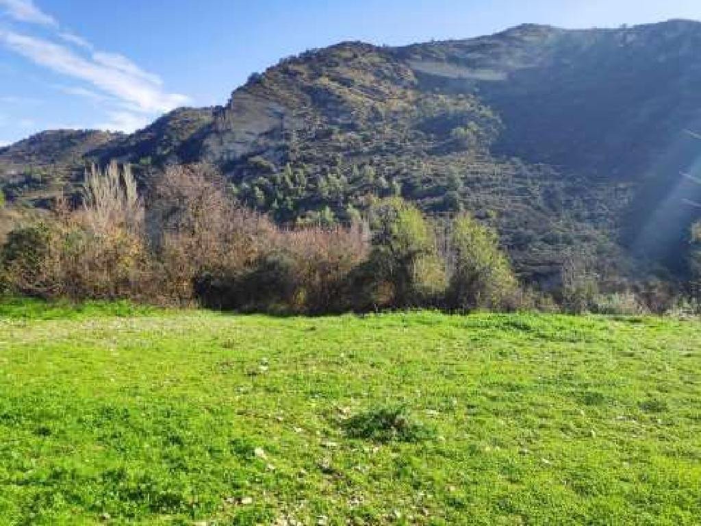 For Sale: Agricultural land, Limnatis, Limassol, Cyprus FC-32648 - #4