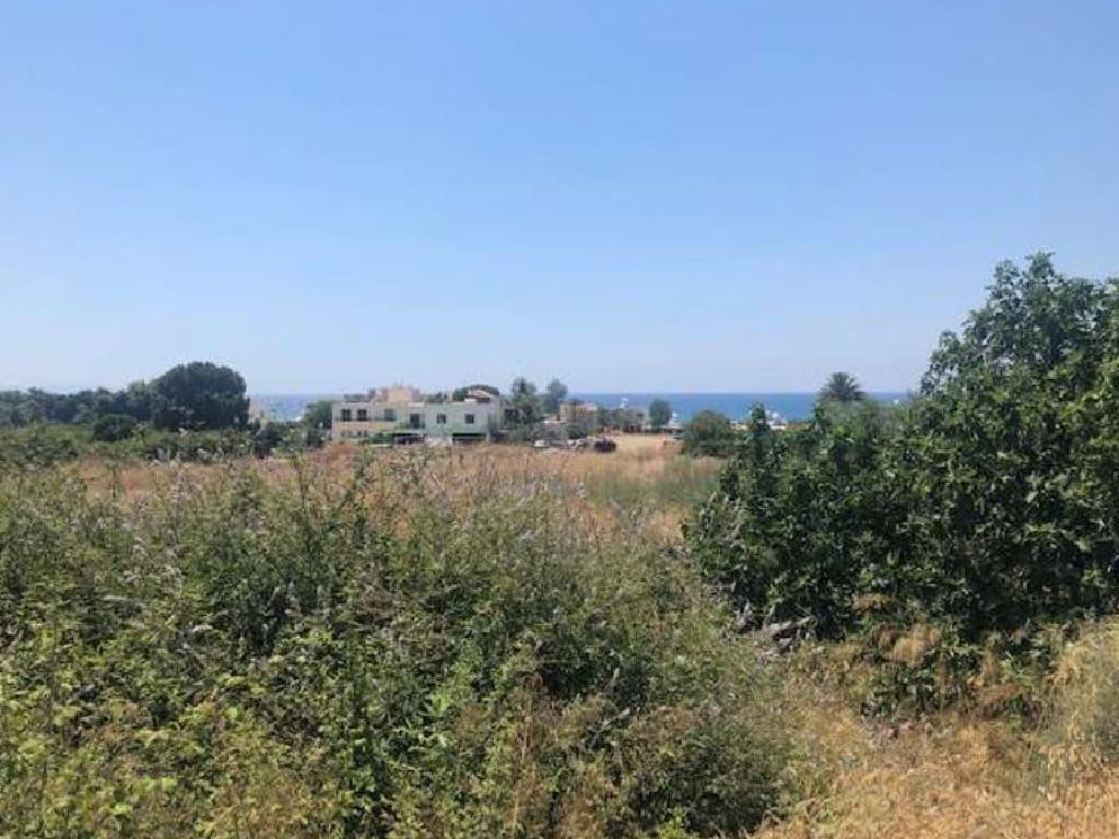 For Sale: Residential land, Agia Marina Chrysochou, Paphos, Cyprus FC-32735 - #2 For Sale: Residential land, Agia Marina Chrysochou, Paphos, Cyprus FC-32735 - #2