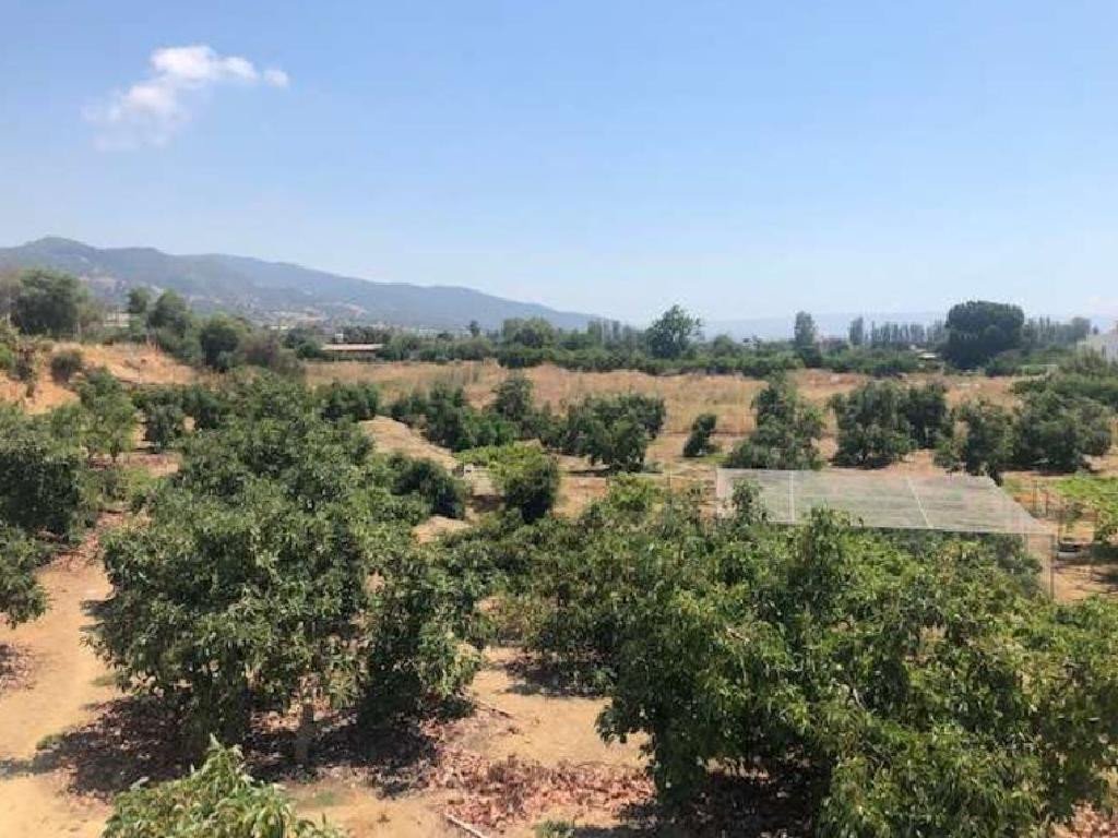For Sale: Residential land, Agia Marina Chrysochou, Paphos, Cyprus FC-32735 - #3 For Sale: Residential land, Agia Marina Chrysochou, Paphos, Cyprus FC-32735 - #3