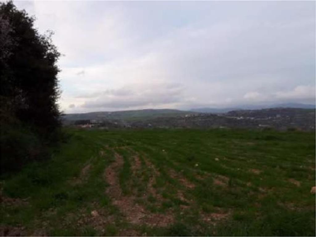 For Sale: Agricultural land, Polemi, Paphos, Cyprus FC-32941 - #2