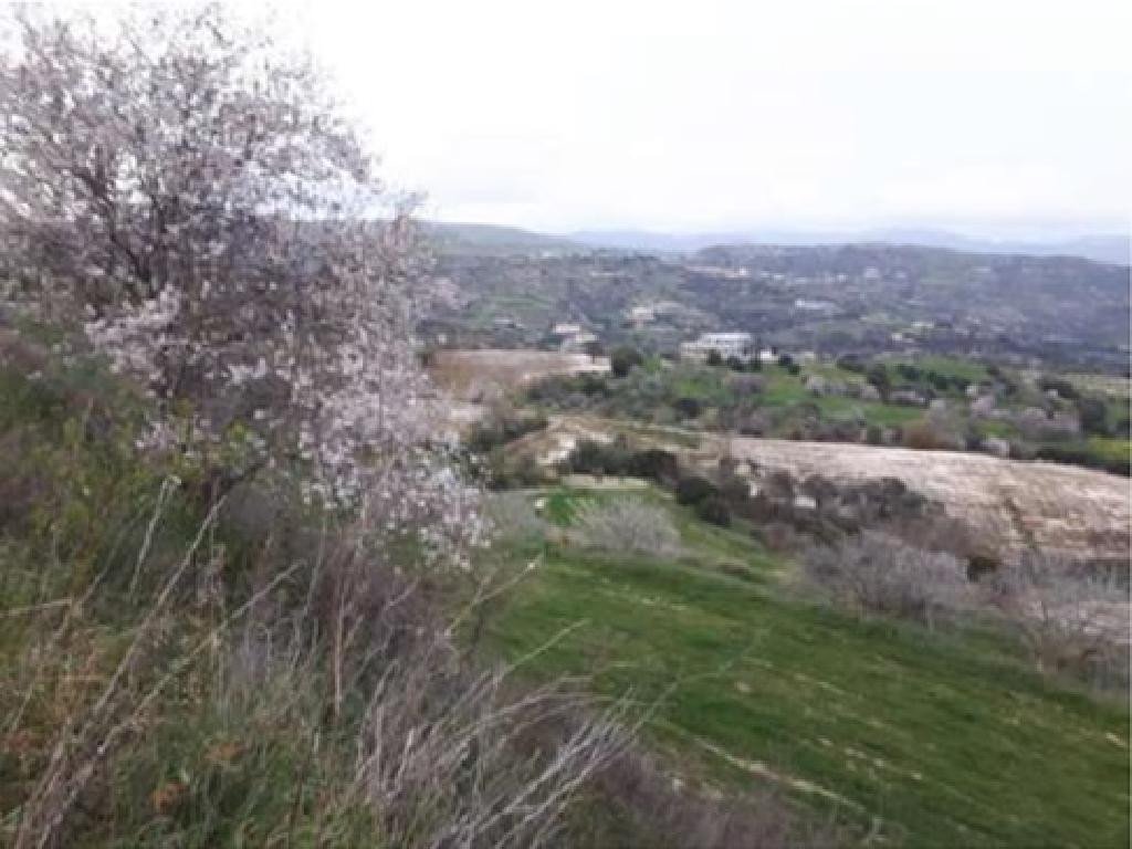For Sale: Agricultural land, Polemi, Paphos, Cyprus FC-32941 - #3
