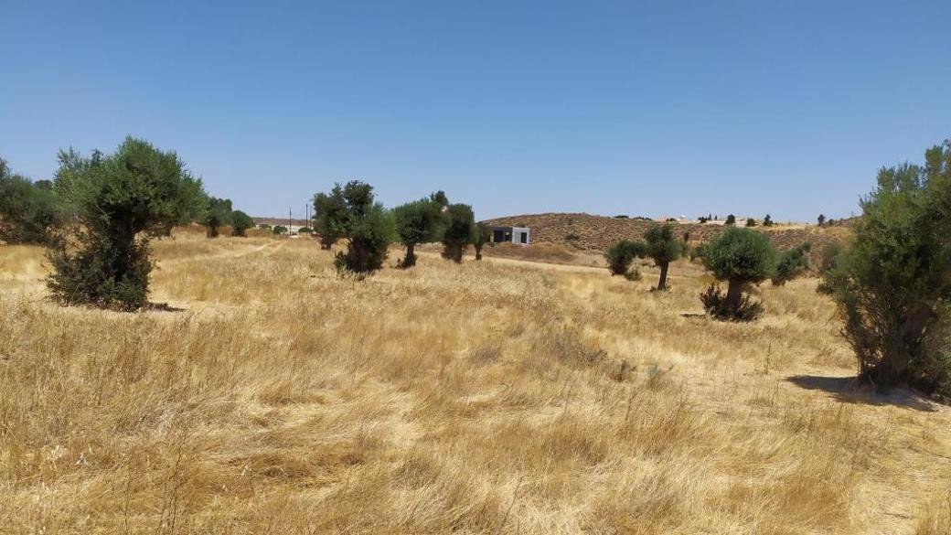 For Sale: Agricultural land, Analiontas, Nicosia, Cyprus FC-33586 - #2 For Sale: Agricultural land, Analiontas, Nicosia, Cyprus FC-33586 - #2
