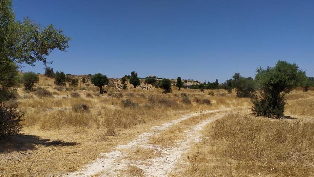 For Sale: Agricultural land, Analiontas, Nicosia, Cyprus FC-33586 - #1 For Sale: Agricultural land, Analiontas, Nicosia, Cyprus FC-33586 - #1