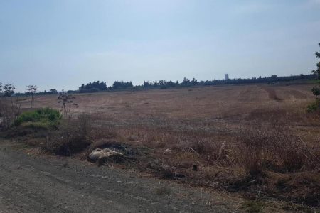 For Sale: Agricultural land, Zygi, Larnaca, Cyprus FC-33593 - #1