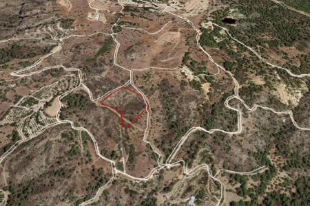 For Sale: Agricultural land, Kynousa, Paphos, Cyprus FC-33619