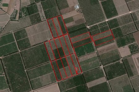 For Sale: Agricultural land, Kolossi, Limassol, Cyprus FC-33691 - #1