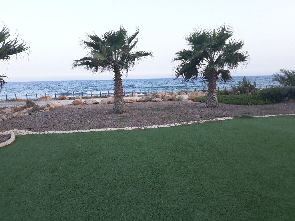 For Sale: Detached house, Agia Thekla, Famagusta, Cyprus FC-33947 - #2